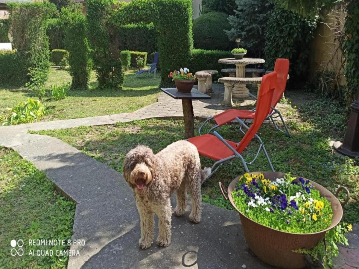 Cocic Garden Osijek Exterior foto